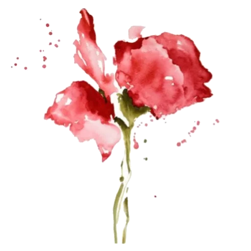 🌷 Стикер «حال خوب با» для Telegram