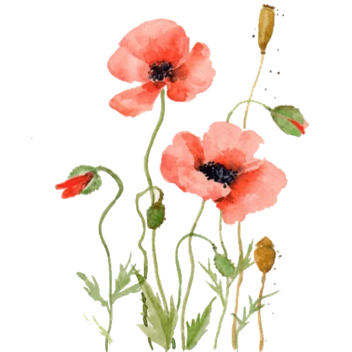 🌷 Стикер «حال خوب با» для Telegram