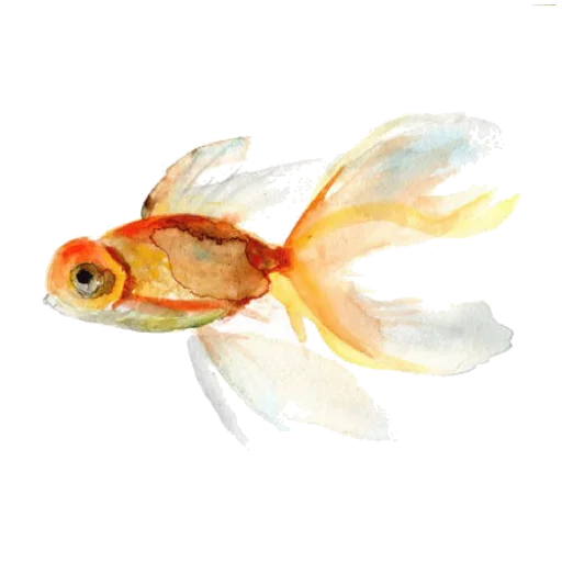 🐠 Стикер «حال خوب با» для Telegram