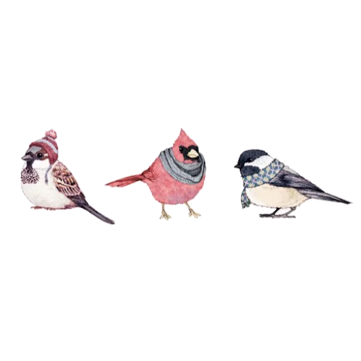 🐦 Стикер «حال خوب با» для Telegram