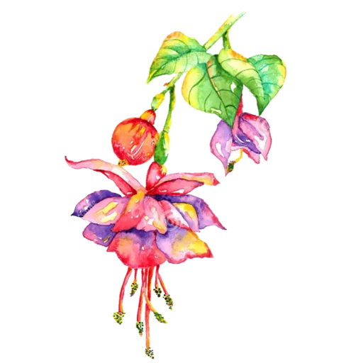 🌺 Стикер «حال خوب با» для Telegram