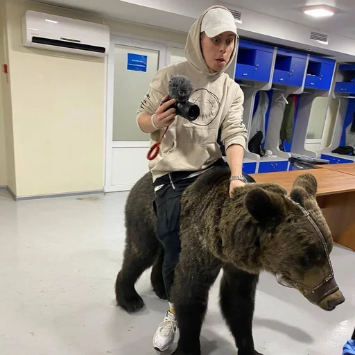 🐻 Стикер «Hozayeva gang» для Telegram