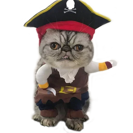 🥳 Стикер «Хозяин Кота ИДИОТ» для Telegram