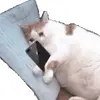 Стикер 24 Cats #cat #cute #girl #memes