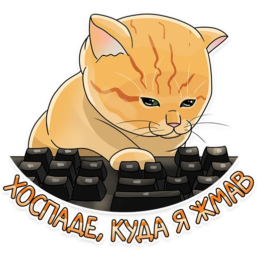 🧑‍💻 Стикер «Рабочие котики» для Telegram