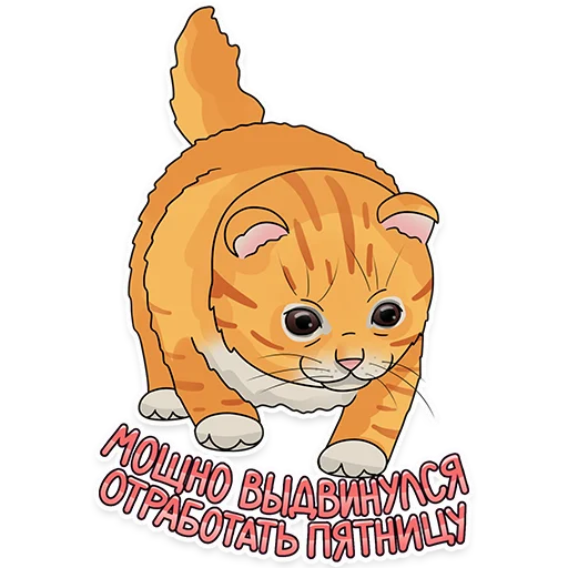 🚶 Стикер «Рабочие котики» для Telegram