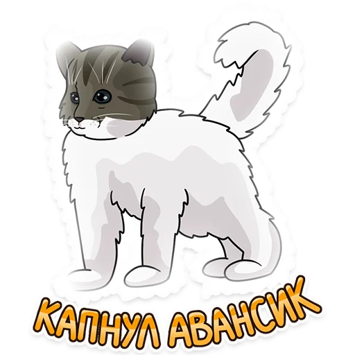 💸 Стикер «Рабочие котики» для Telegram