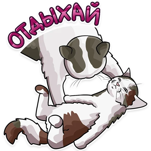 🥱 Стикер «Рабочие котики» для Telegram