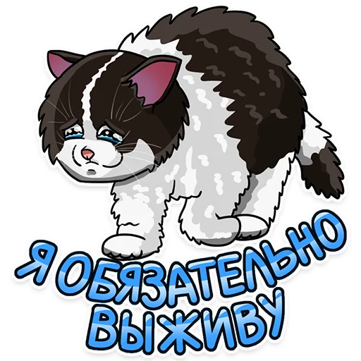Стикерпак Рабочие котики для Telegram