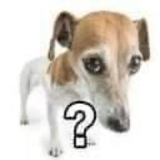 ❓ Стикер «Хренобус» для Telegram