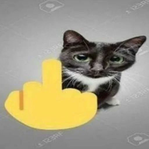 🖕 Стикер «Хренобус» для Telegram