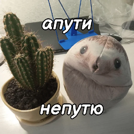 🌵 Стикер «ХРЕН» для Telegram
