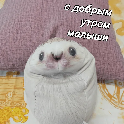 👋 Стикер «ХРЕН» для Telegram