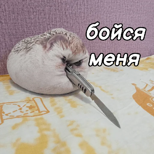 🔪 Стикер «ХРЕН» для Telegram