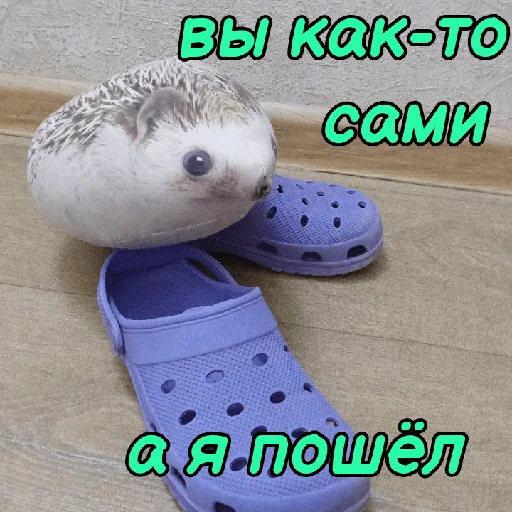👋 Стикер «ХРЕН» для Telegram