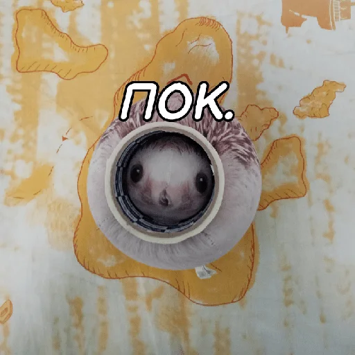 👋 Стикер «ХРЕН» для Telegram