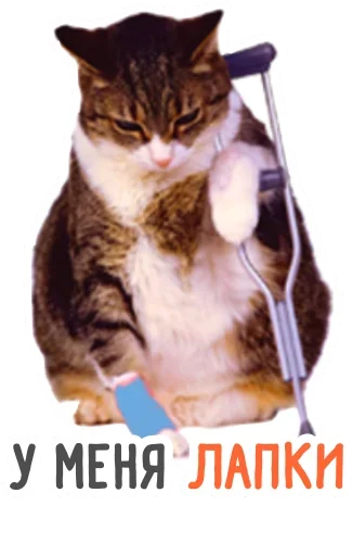 😙 Стикер «HR-stickers Star-staff» для Telegram
