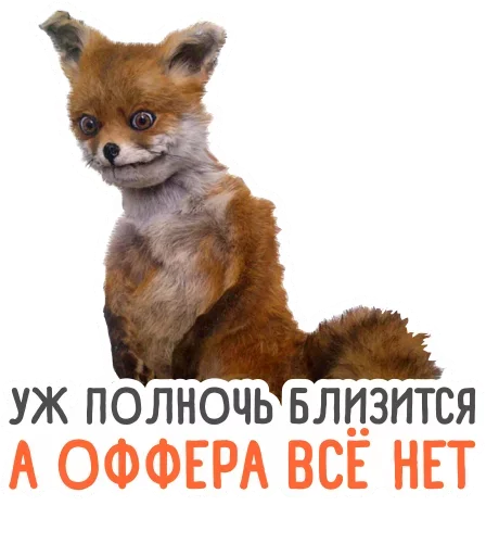 🤪 Стикер «HR-stickers Star-staff» для Telegram