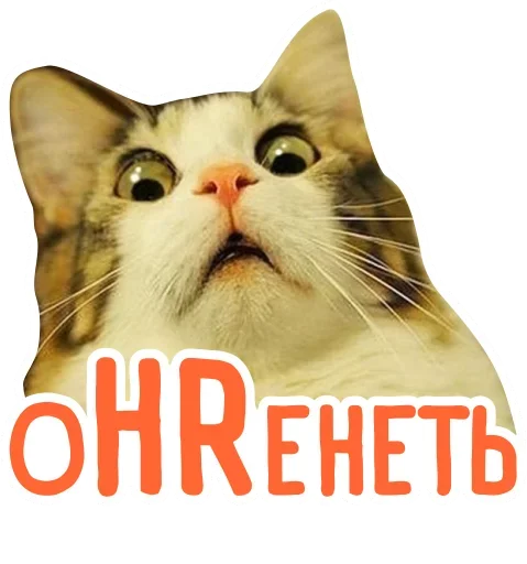 Стикерпак HR-stickers Star-staff для Telegram