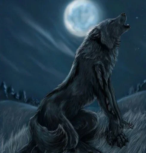 🐺 Стикер «чувствую» для Telegram