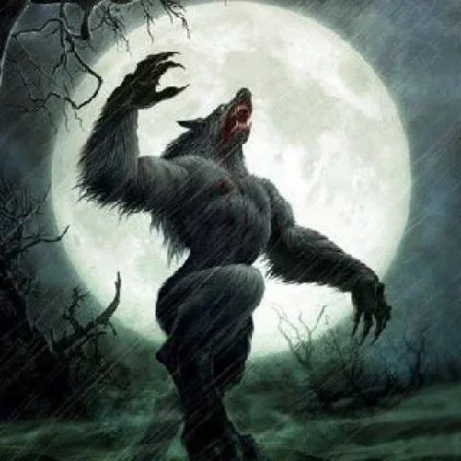 🐺 Стикер «чувствую» для Telegram