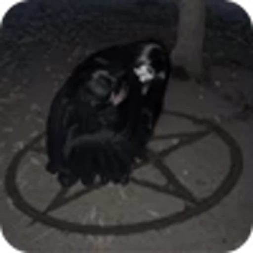 💗 Эмодзи «» для Telegram