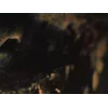 Стикер 38 Resident Evil Requiem
