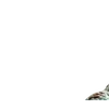 Стикер 34 Resident Evil Requiem