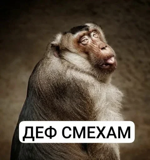 🤩 Стикер «Тролпан» для Telegram