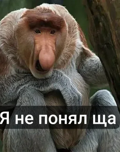 🤩 Стикер «Тролпан» для Telegram