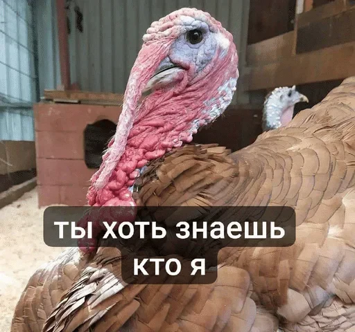 🌟 Стикер «Тролпан» для Telegram