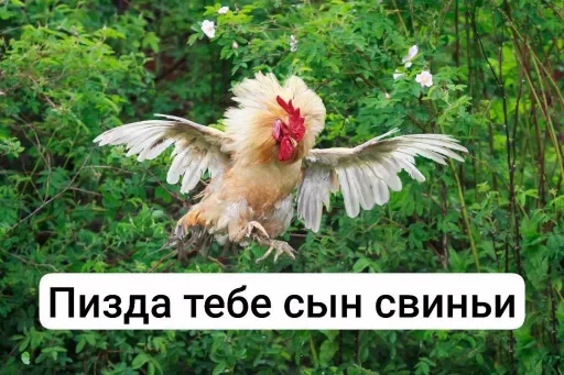 🤩 Стикер «Тролпан» для Telegram