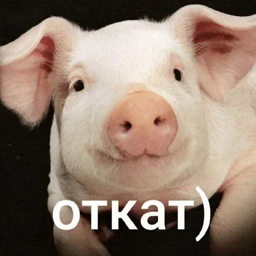 🌟 Стикер «Тролпан» для Telegram