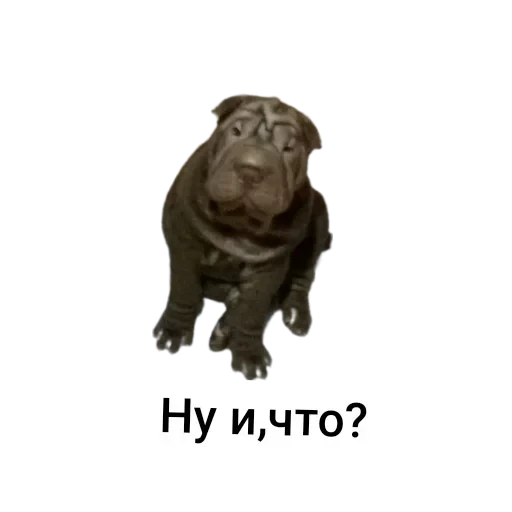 🧸 Стикер «Тролпан» для Telegram