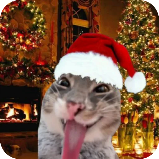 🎄 Стикер «Faqat chopma» для Telegram