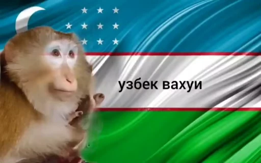 🌟 Стикер «Faqat chopma» для Telegram