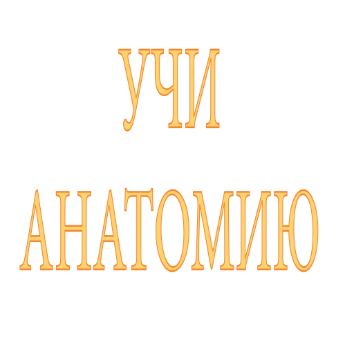 ☹️ Стикер «Artist» для Telegram