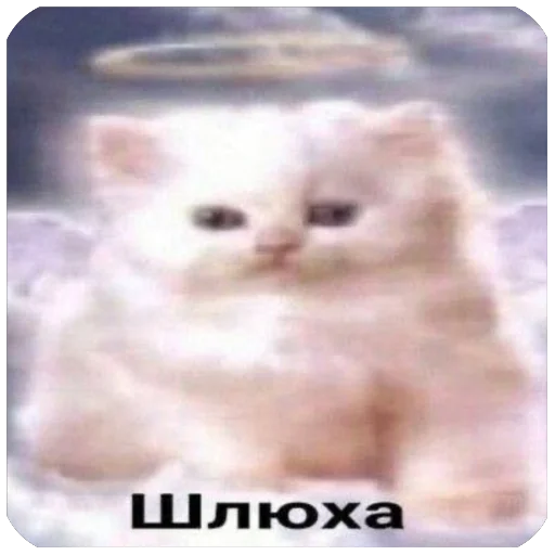 🫥 Стикер «Хуесосы вы» для Telegram