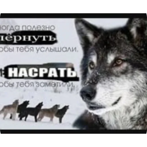 ❤ Стикер «Хуесосы вы» для Telegram