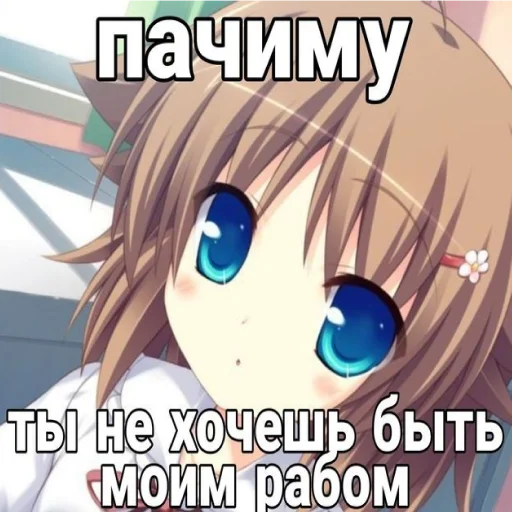 😭 Стикер «тру няшки» для Telegram