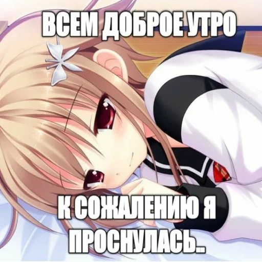 😔 Стикер «тру няшки» для Telegram