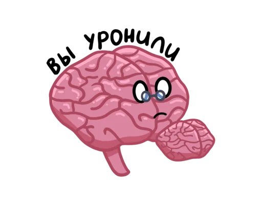 🧠 Стикер «Наше Тело NDR» для Telegram