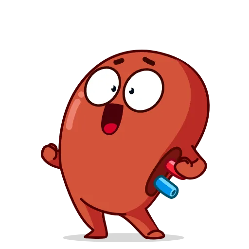 Стикер 17 Human Organs
