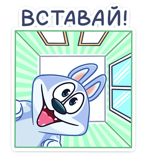🤩 Стикер «Хасик» для Telegram