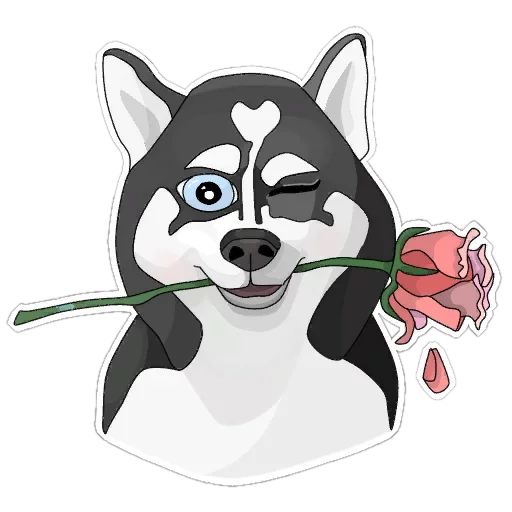 🌹 Стикер «Хаскеныш Сима» для Telegram