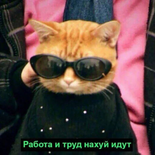 🗿 Стикер «кайза жмыхнуло 5» для Telegram