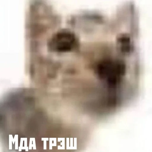 🗿 Стикер «кайза жмыхнуло 5» для Telegram