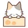 Стикер 15 Huwa Cat ੭ 