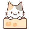 Стикер 13 Huwa Cat ੭ 