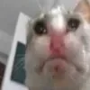 Стикер 9 Немного треша)